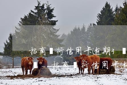 招商銀行信用卡逾期3個月嚴(yán)重嗎-招商銀行信用卡逾期3個月嚴(yán)重嗎怎么辦
