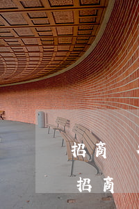 招商銀行信用卡逾期3天會有不良記錄嗎-招商銀行信用卡逾期3天會有不良記錄嗎