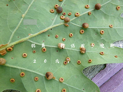 招商銀行信用卡逾期40天(招商銀行信用卡20天了)