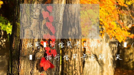 招商銀行信用卡逾期48小時(shí)起訴-招行信用卡逾期1天