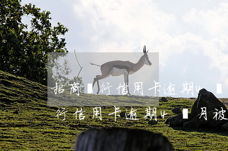招商銀行信用卡逾期4個月被注銷-招商銀行信用卡逾期4個月被注銷了