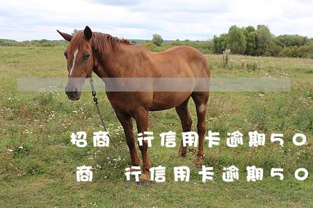 招商銀行信用卡逾期5000會怎么樣-招商銀行信用卡逾期5000會怎么樣嗎