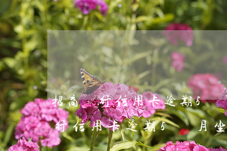 招商銀行信用卡逾期5個月坐牢嗎-招商銀行信用卡逾期5個月坐牢嗎會怎樣