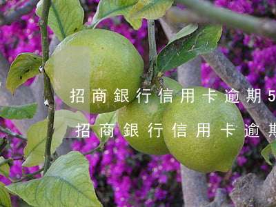 招商銀行信用卡逾期5個月要起訴我真的么（招商銀行信用卡逾期5個月）