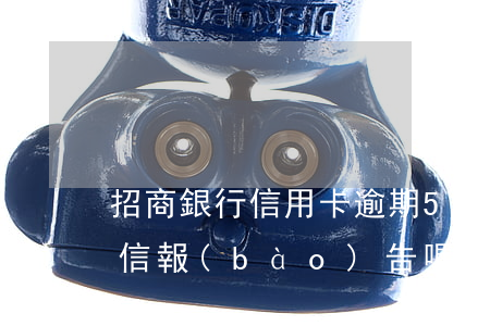 招商銀行信用卡逾期5天會(huì)有征信報(bào)告嗎-招商銀行信用卡逾期5天會(huì)有征信報(bào)告嗎