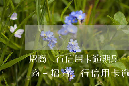 招商銀行信用卡逾期5萬怎么協(xié)商-招商銀行信用卡逾期5萬怎么協(xié)商還款