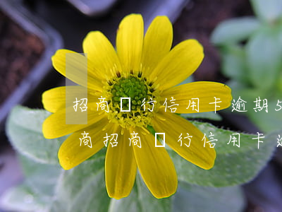 招商銀行信用卡逾期5萬怎么協(xié)商(招商銀行信用卡逾期5萬怎么協(xié)商分期還款)