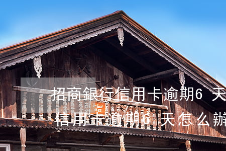 招商銀行信用卡逾期6天怎么辦-招商銀行信用卡逾期6天怎么辦啊