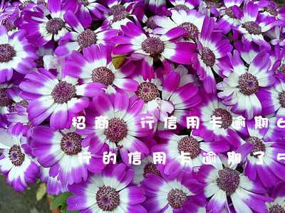 招商銀行信用卡逾期6天處理方法-招商銀行的信用卡逾期了5天會(huì)上征信嗎