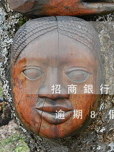 招商銀行信用卡逾期8個月(招商銀行信用卡逾期8個月)