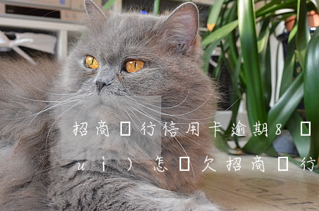 招商銀行信用卡逾期8萬(wàn)會(huì)怎樣(欠招商銀行信用卡5000逾期一年已還3000,還會(huì)被拘留嗎)