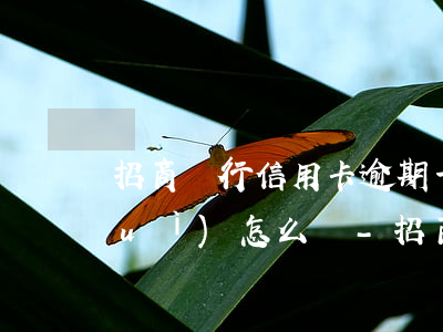 招商銀行信用卡逾期一個(gè)月會(huì)怎么樣-招商銀行信用卡逾期一個(gè)月會(huì)怎么樣嗎