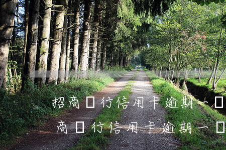 招商銀行信用卡逾期一個月會怎樣后果-招商銀行信用卡逾期一個月會怎樣后果