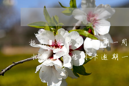 招商銀行信用卡逾期一周會(huì)怎樣(招商銀行信用卡逾期一周會(huì)怎樣催收)