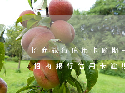招商銀行信用卡逾期一周會有不良記錄嗎-招商銀行信用卡逾期一周會有不良記錄嗎
