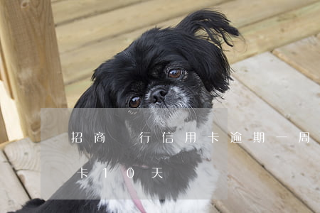 招商銀行信用卡逾期一周沒還(招商銀行信用卡10天沒還)