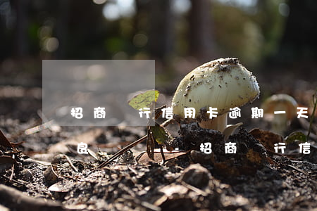 招商銀行信用卡逾期一天會(huì)有不良記錄嗎-招商銀行信用卡逾期一天會(huì)有不良記錄嗎