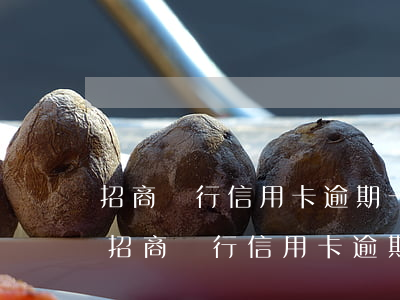 招商銀行信用卡逾期一天會不會影響征信-招商銀行信用卡逾期一天會不會影響征信