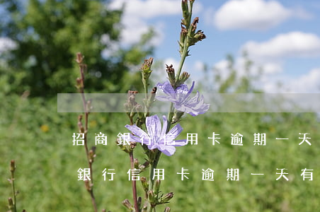 招商銀行信用卡逾期一天有沒有影響-招商銀行信用卡逾期一天有沒有影響?