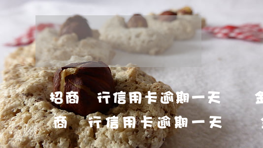 招商銀行信用卡逾期一天違約金是多少-招商銀行信用卡逾期一天違約金是多少錢(qián)