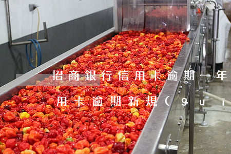 招商銀行信用卡逾期一年以上 2020年信用卡逾期新規(guī)定招商銀行