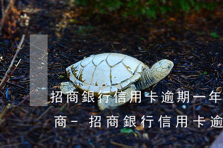招商銀行信用卡逾期一年怎么協(xié)商-招商銀行信用卡逾期一年怎么協(xié)商減免