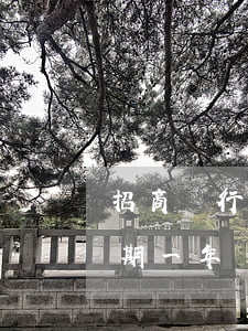 招商銀行信用卡逾期一年(招商銀行信用卡逾期一年說要起訴我怎么辦)