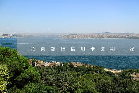 招商銀行信用卡逾期一星期了(招商銀行 信用卡 逾期)