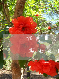 招商銀行信用卡逾期一期(招商銀行信用卡逾期七天會(huì)有不良記錄)
