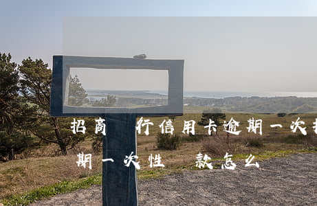 招商銀行信用卡逾期一次(招商銀行信用卡逾期一次性還款怎么還)