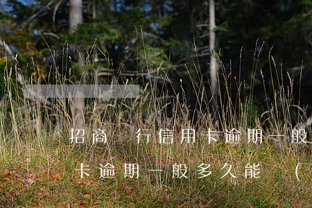 招商銀行信用卡逾期一般多久 招商銀行信用卡逾期一般多久能協(xié)商成功