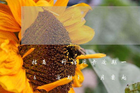 招商銀行信用卡逾期一萬八(招商銀行信用卡6萬逾期3個月要起訴我怎么辦)