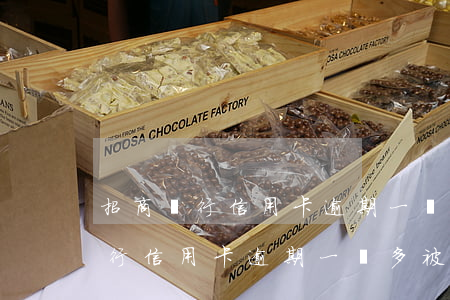 招商銀行信用卡逾期一萬多被起訴-招商銀行信用卡逾期一萬多被起訴怎么辦