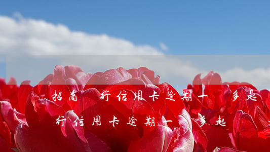 招商銀行信用卡逾期一萬多起訴嗎-招商銀行信用卡逾期一萬多起訴嗎是真的嗎