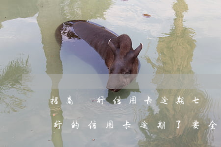 招商銀行信用卡逾期七個月還清了-招商銀行的信用卡逾期了,要全額還清嗎