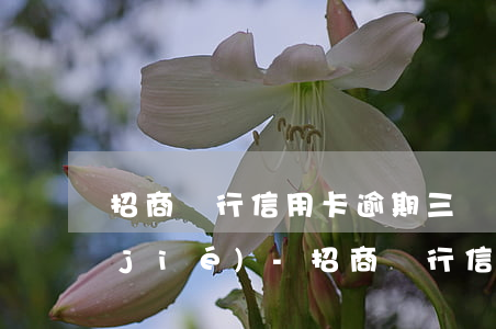 招商銀行信用卡逾期三個(gè)月凍結(jié)-招商銀行信用卡逾期三個(gè)月凍結(jié)還能解除嗎