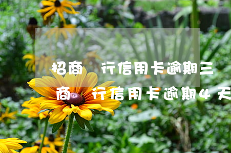 招商銀行信用卡逾期三個(gè)月分期(招商銀行信用卡逾期4天)