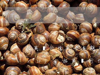 招商銀行信用卡逾期三個(gè)月后續(xù)-招商銀行信用卡逾期三個(gè)月后續(xù)卡