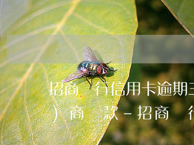 招商銀行信用卡逾期三個月怎么協(xié)商還款-招商銀行信用卡逾期三個月怎么協(xié)商還款的