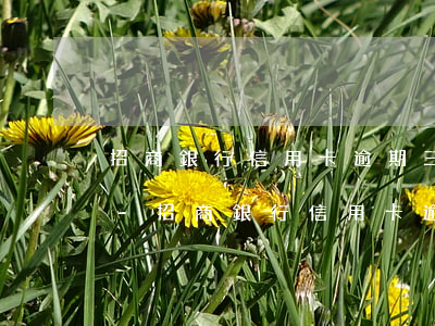 招商銀行信用卡逾期三個月會收到律師函嗎-招商銀行信用卡逾期三個月會收到律師函嗎