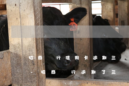 招商銀行信用卡逾期三個月還清后還能用嗎-招商銀行逾期了三個月還上還可以用卡嗎