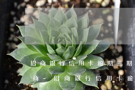 招商銀行信用卡逾期三期怎么協(xié)商-招商銀行信用卡逾期三期怎么協(xié)商還款