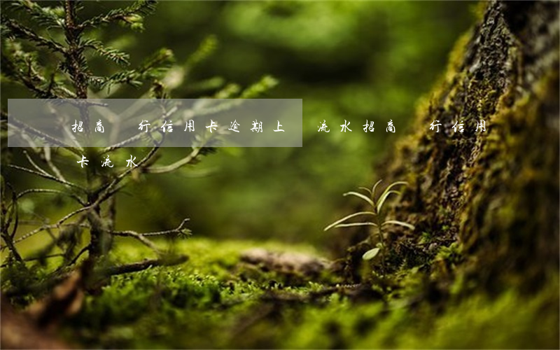 招商銀行信用卡逾期上傳流水 招商銀行 信用卡 流水
