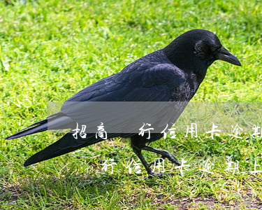 招商銀行信用卡逾期上傳資料怎么寫-招商銀行信用卡逾期上傳資料怎么寫的