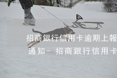 招商銀行信用卡逾期上報(bào)征信會通知-招商銀行信用卡逾期上報(bào)征信會通知嗎