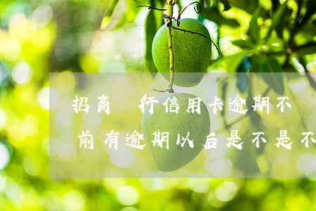 招商銀行信用卡逾期不漲利息了(招商銀行以前有逾期以后是不是不能下卡)