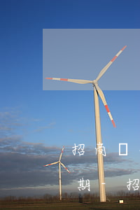 招商銀行信用卡逾期不肯協(xié)商分期-招商銀行信用卡逾期不肯協(xié)商分期怎么辦