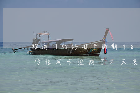 招商銀行信用卡逾期了8天怎么辦-招商銀行信用卡逾期了8天怎么辦呢