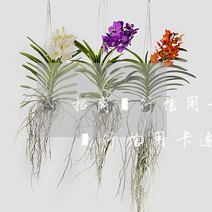 招商銀行信用卡逾期了可以分期還款嗎?（招商銀行信用卡逾期了可以分期）