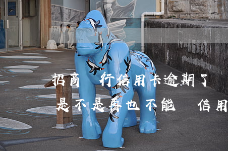 招商銀行信用卡逾期了會怎么樣(招行逾期過是不是再也不能辦信用卡了)